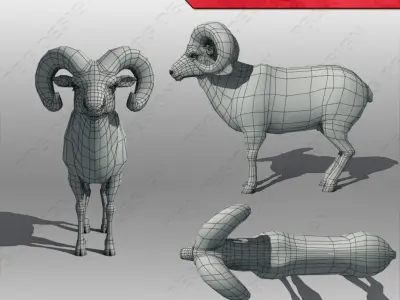 Ram Animated 3D model