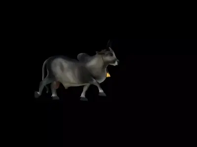 Bull 3D 3D model