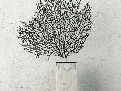 Natural Exotic Sea Fan 3D model