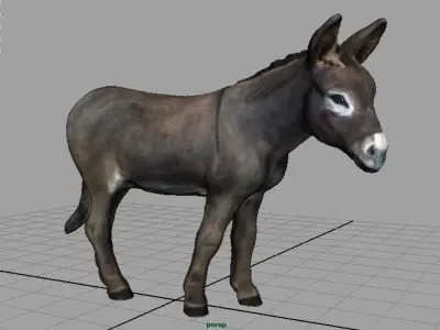 Realistic Donkey Low-poly 3D model