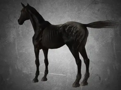 Horse - Famine No Gear 3D model