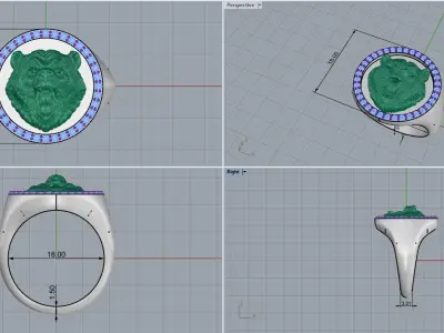 Bear ring hollow inside 3D print model