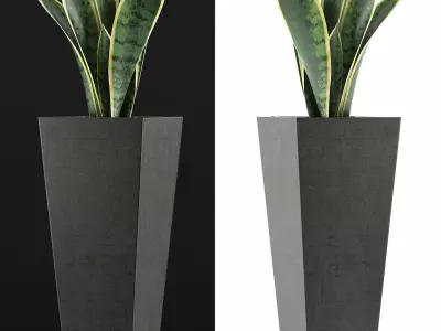 Plants Collection 68 3D model