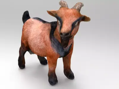 REALISTIC GOAT 3D model