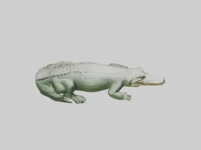 Sleeping Crocodile Model Low-poly 3D model