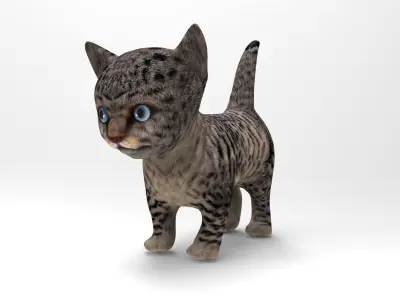 3D wild cat low poly  Low-poly 3D model