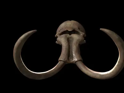 Woollly Mammoth Complete Skeleton System 3D model