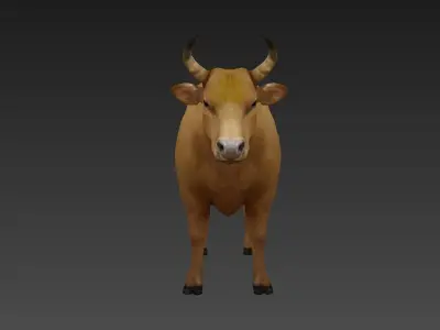 animal cow  Low-poly 3D model