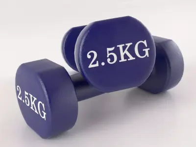 Metal 5kg Dumbell 3D model
