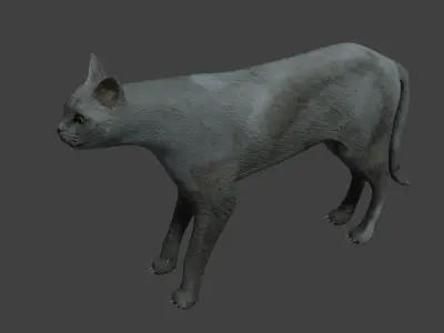 Gray cat Low-poly 3D model