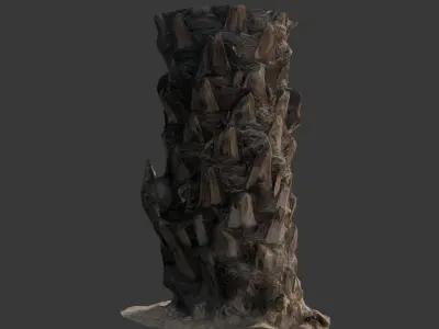 Palm Tree Trunk 3D Scan Low-poly 3D model