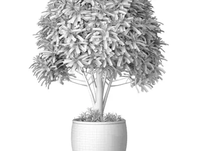 Decorative contemporary garden tree shrub in rattan vase 3D model