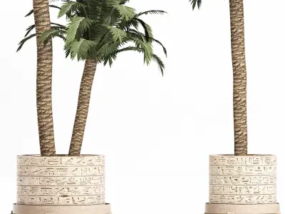 Plants Collection 159 Egyptian Plants 3D model