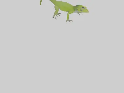Carolina Anole climbing model Low-poly 3D model