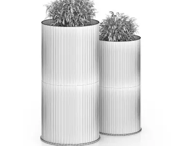 Two Plants in Large Pots 3D model