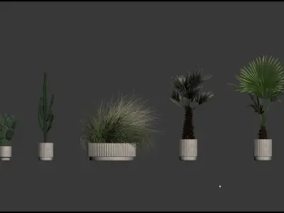 20 Photorealistic Flowers for Interiors - set 202 213 214 216 3D Model Collection