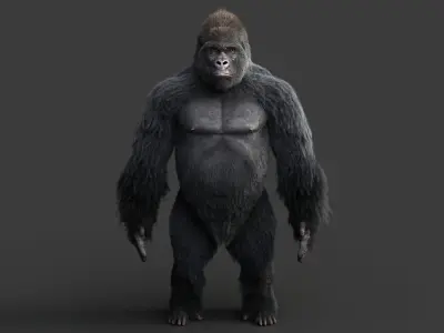 Gorilla RIG XGEN CORE 3D model