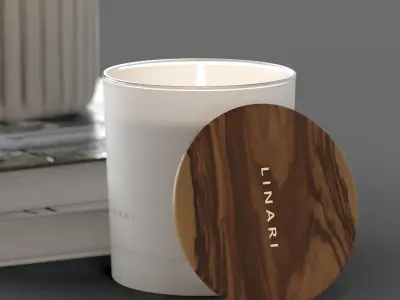 Decor Gypsophila Set 25 3D model