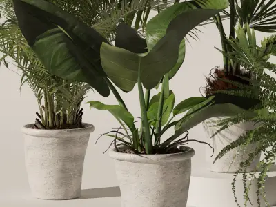 Plants collection 139 3D model