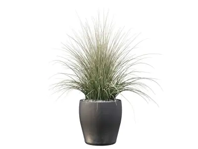 Grass artificial plant in pot 3D model