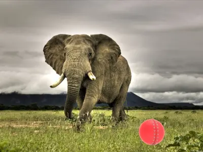 cricket ball  Free 3D model