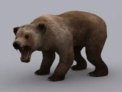 BEAR ANIMATED GAME READY ANIMATED MODEL Low-poly 3D model