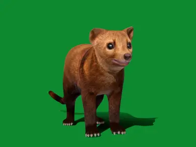 Martens Fisher  Low-poly 3D model