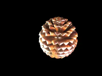 Fir Cone 3D model
