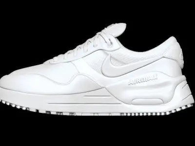NIKE Shoes 3D print model
