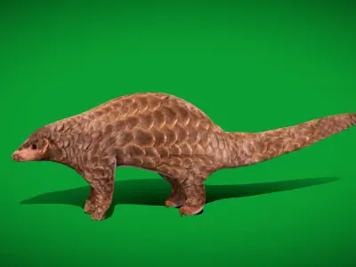 Pangolins Scaly Anteater Low-poly 3D model