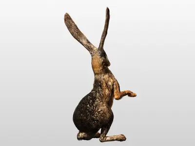 Rabbit  Hare Rigged and Hopping Low-poly 3D model