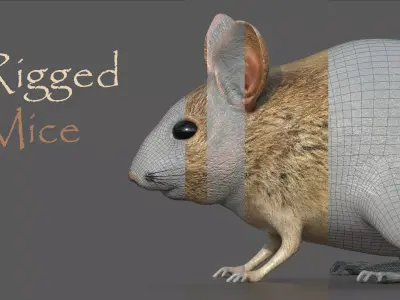 Mouse Rat 3D model