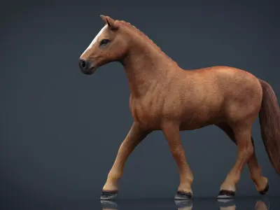 Realistic Horse Low-poly 3D model