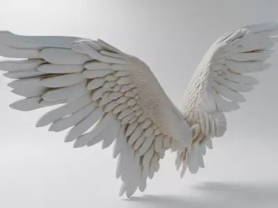 White Angel Wings Realistic Feathers with Ethereal Design Low-poly 3D model