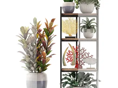 Rack with the decor of figurines and plants 3D model