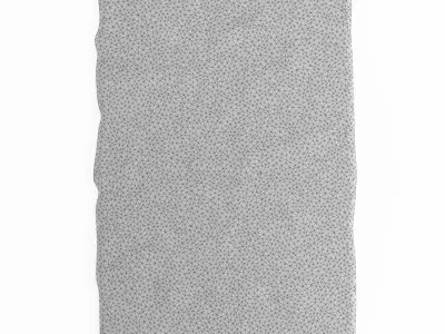 Sheepskin Soft Wool Rug 3D model