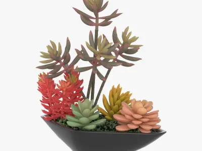 Pot Plant 11 3D model