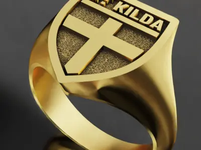 St Kilda Australia Football Fans 3D print model  3D print model