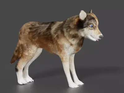 wolf 3d Low-poly 3D model