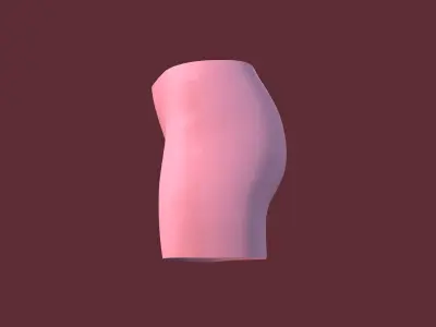 Knicker 3D model
