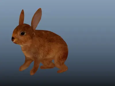 Rabbit Animated VFX Grace Low-poly Low-poly 3D model