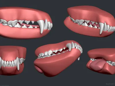 Wolf Dog Teeth Set 3D model
