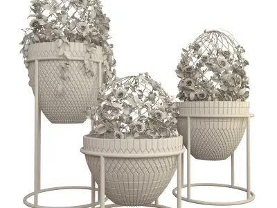 Indoor plants 002 3D model