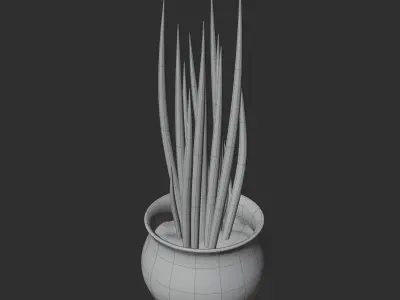 Sansevieria cylindrica - Sword of Ogum Free 3D model