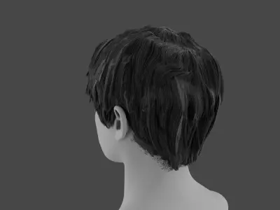 Bowl cut with sideburns Free 3D model