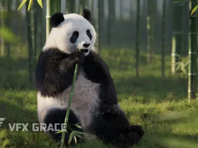 Panda Animation Vfx Grace 3D model