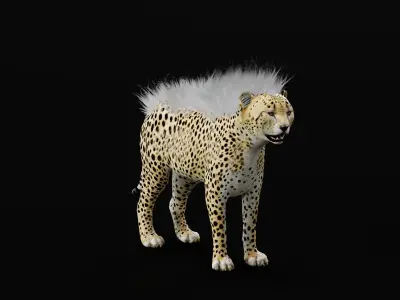 Young Cheetah Animal 3D model