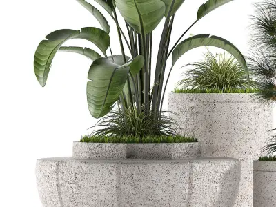 Plants 291 3D model
