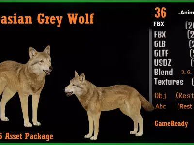 Eurasian Grey Wolf Low-poly 3D model