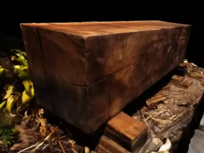 sawed log - Tronco aserrado 3D model